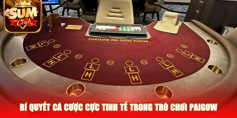 Bí quyết cá cược cực tinh tế trong trò chơi Paigow
