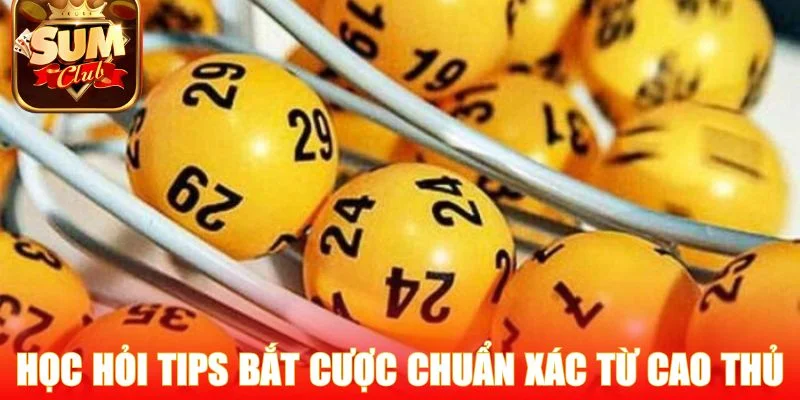 Học hỏi tips bắt cược chuẩn xác từ cao thủ