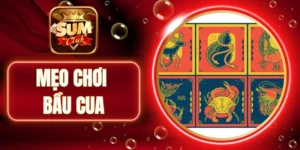 Chưa học qua mẹo chơi bầu cua mà đã tham gia