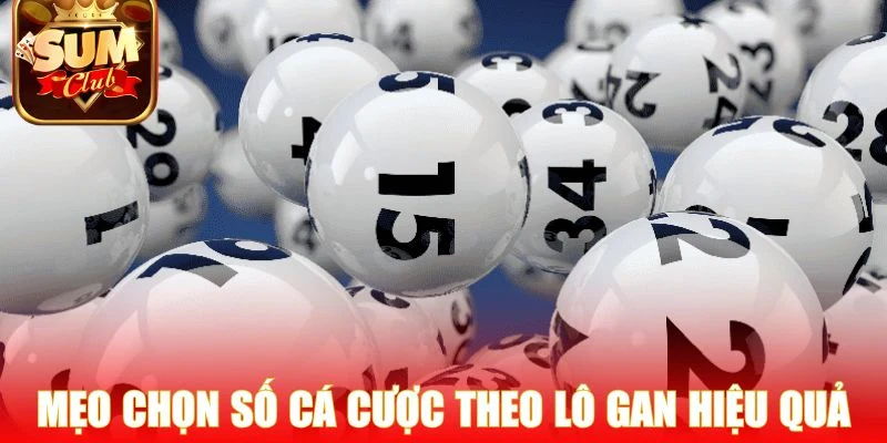 Mẹo chọn số cá cược theo lô gan hiệu quả