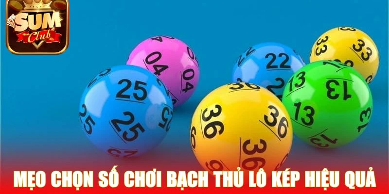 Mẹo chọn số chơi bạch thủ lô kép hiệu quả