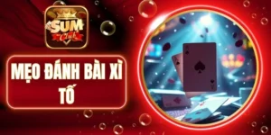 meo-danh-bai-xi-to