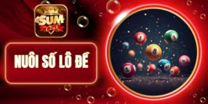 Chủ động học hỏi kinh nghiệm thực chiến để tham gia